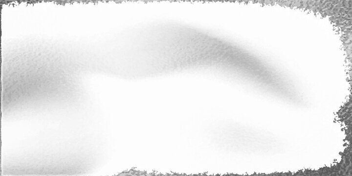 Abstract natural tree branch leaves shadow on white wall background