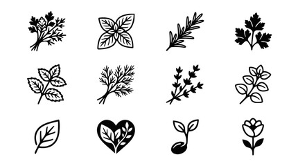 Collection of stylized herbs and plants icons for cooking, health, and organic design © Latif