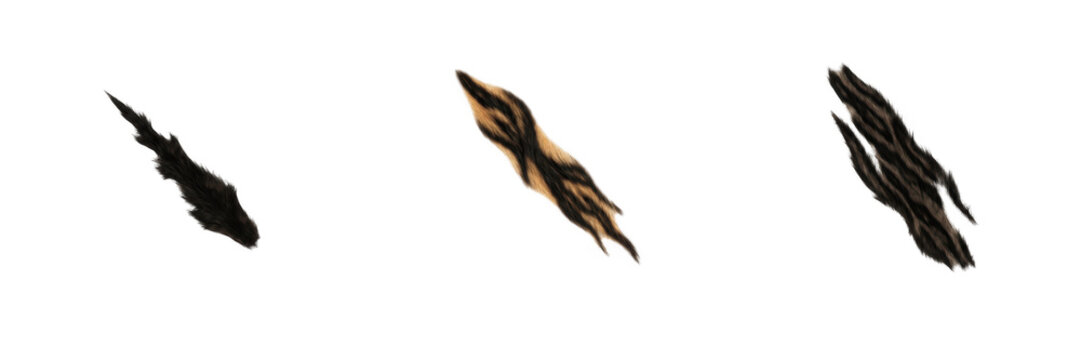 Realistic Tiger Claw Marks Rip Vector Set - Black and Orange Animal Scratch Slash Marks Effect PNG Graphic Isolated on Transparent Background for Monster Attack, Wild Predator, T-Shirt Design, and Spo