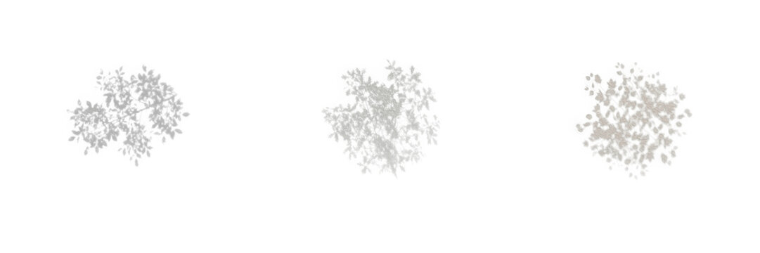 Top View Tree Crown Vector Set - Minimalist Grey Tree Plan Symbol PNG Graphic Isolated on Transparent Background for Architectural Site Plan, Landscape Design, Urban Planning Layout, CAD Drawing, and 