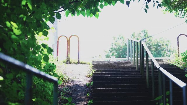 Stone staircase framed by lush green summer foliage tunnel in Tokyo, Japan, cinematic b-roll with bright sunlight