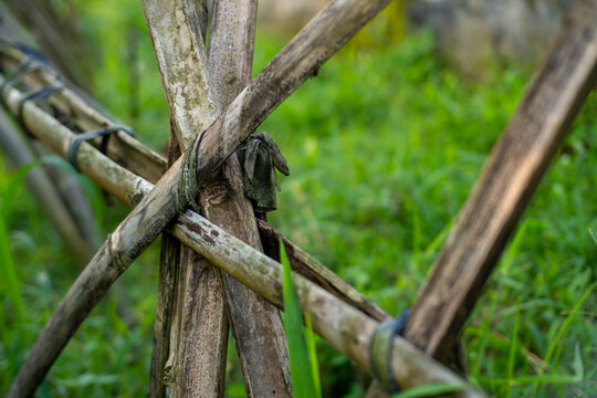 Close up of a rustic bamboo fence tied with cloth in a grassy field