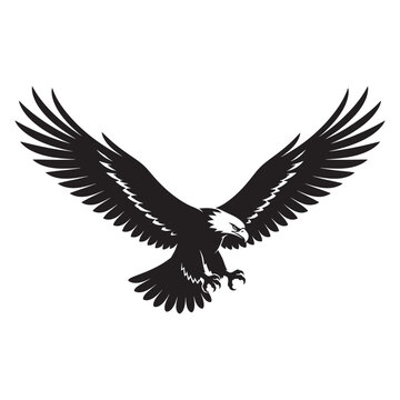 Black and white flying bald eagle vector illustration with predator wildlife silhouette isolated majestic minimalist wilderness creature illustration