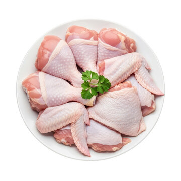 Fresh raw chicken drumsticks and wings on a plate with parsley isolated on transparent background