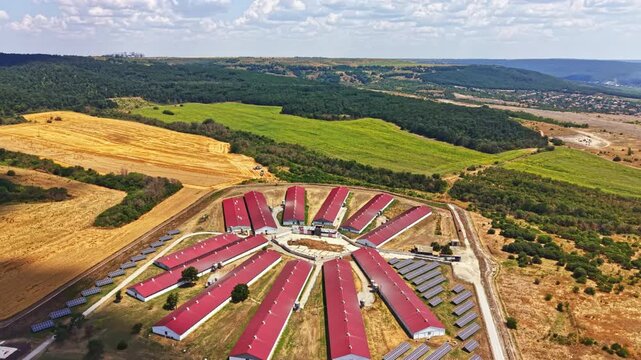 Many pig shelters are arranged in a circular pattern on a farm in the countryside. Fields of crops surround the farm in a bright daylight setting.