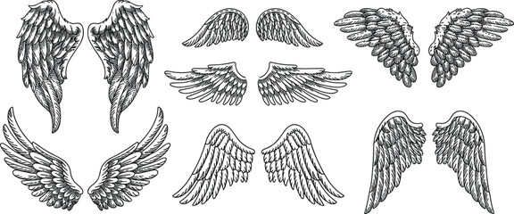 Angel wings sketch vector icons set, hand drawn black heraldic feather symbols on white background © Mst