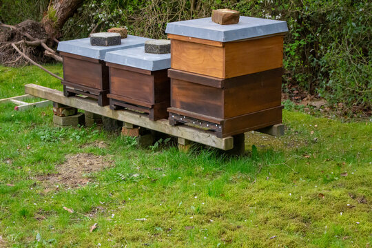 Wooden langstroth beehives sitting on a stand in a garden