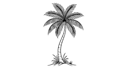 Obraz premium Palm Silhouette Line Art Vector Illustration
