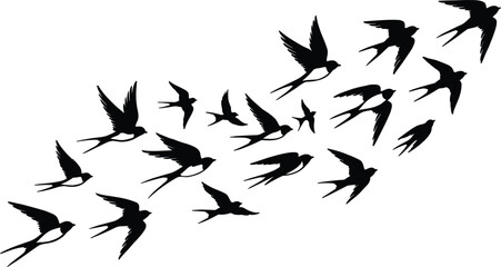 Fototapeta premium Flock of flying swallow birds silhouette vector illustration isolated on white background migratory wildlife nature concept design