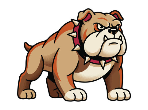 Angry bulldog mascot vector illustration for sports team branding or security logo design isolated on white background