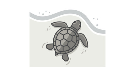 Gray Sea Turtle Swimming Underwater. © zaki