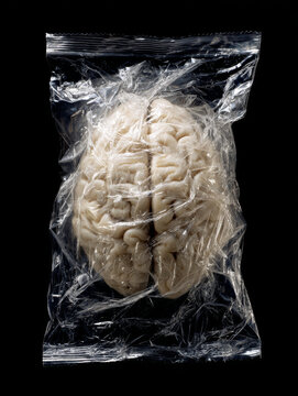 Human brain model wrapped tightly in clear plastic wrap on black background, creating striking and thought provoking image