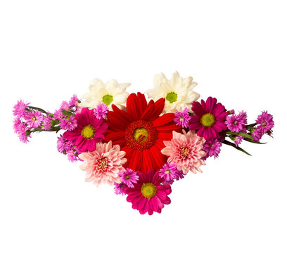 Colorful Flowers Arrangement Daisy, Gerbera, Aster, Chrysanthemum, Top View, Transparent Background Ornaments for Wedding Card or Greeting Card