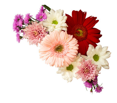 Colorful Flowers Arrangement Daisy, Gerbera, Aster, Chrysanthemum, Top View, Transparent Background Ornaments for Wedding Card or Greeting Card