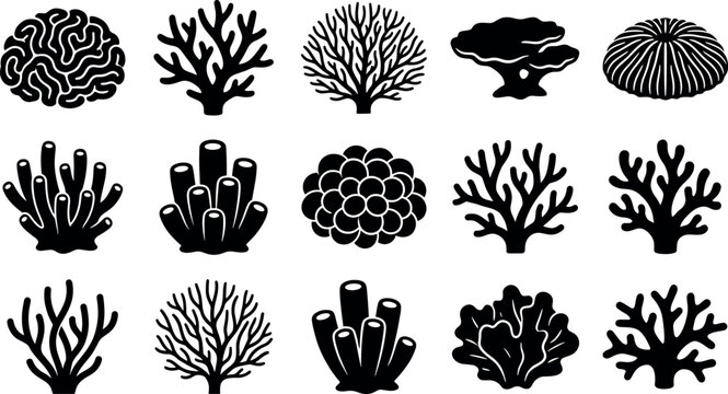 Underwater coral reef silhouette collection vector illustration set featuring brain coral, sea fan, staghorn, and tube sponge isolated on white.
