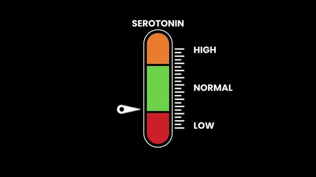 Animation testosterone level scale for tracking levels, indicating green normal, orange high, and red low. Suitable for medical infographics and presentations.