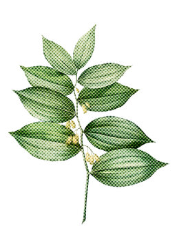 Hand drawn polygonatum flower halftone style sticker overlay with a white border