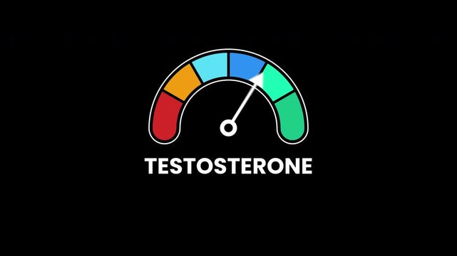 Animation testosterone level level gauge suitable for healthrelated designs. Graphic pointer arrow on colored scale indicator background for medical information visuals.