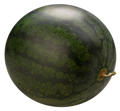 Black Watermelon isolated on white background, Giant Seedless Watermelon isolated on white png file.
