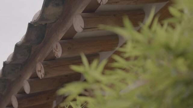 Traditional Hanok Rafters with Bamboo Leaves Swaying in the Foreground