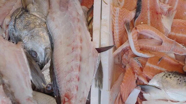 Fish market display in the morning