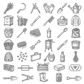 Beekeeping Tools and Supplies Hand-Drawn Sketch Collection