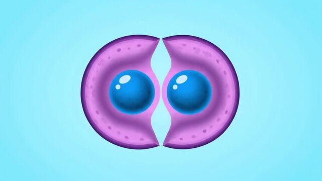 Abstract representation of cell division and replication process.