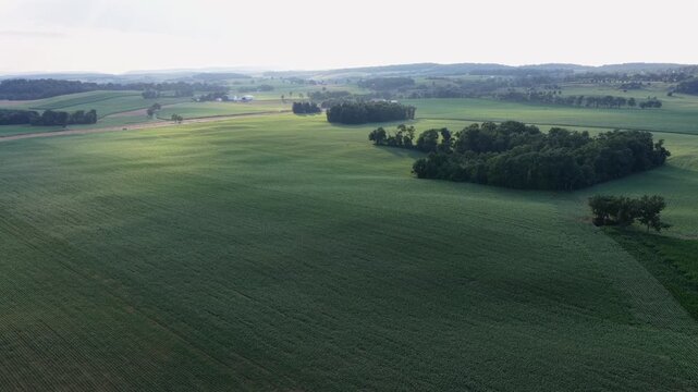 Rolling green farmland stretches toward hazy wooded hills, scattered tree clusters and forest patches break open crop fields at soft golden morning light in rural USA. Aerial drone wide shot