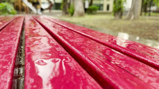 A wet red wooden bench glistens after a heavy rain shower. Rainwater pools on the glossy slats inside a green public park.