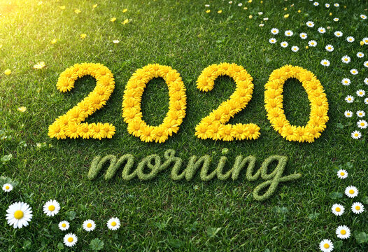 Bright and cheerful new year greeting with flowers forming the year on green grass field