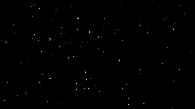 Dreamy background footage with soft pink petals floating