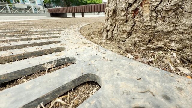 Tiny ants scurry across a curved metal protective grate. The rusty grid surrounds the textured bark of a large tree trunk. A wooden bench sits in the blurred plaza background.