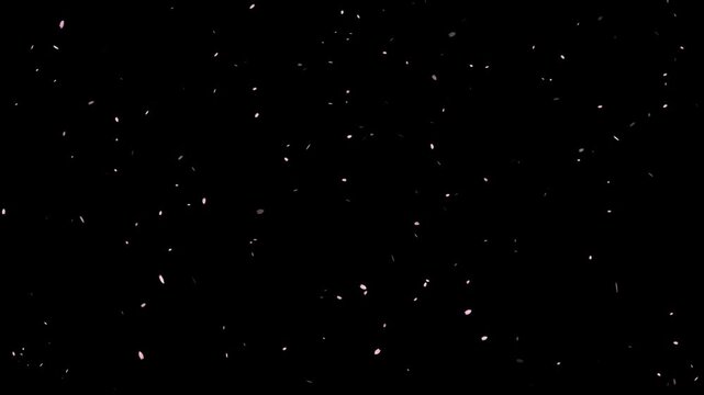 Dreamy background footage with soft pink petals floating