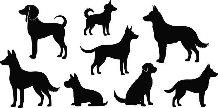 Set of black dog silhouettes for design projects. Vector illustrations of various breeds and poses.