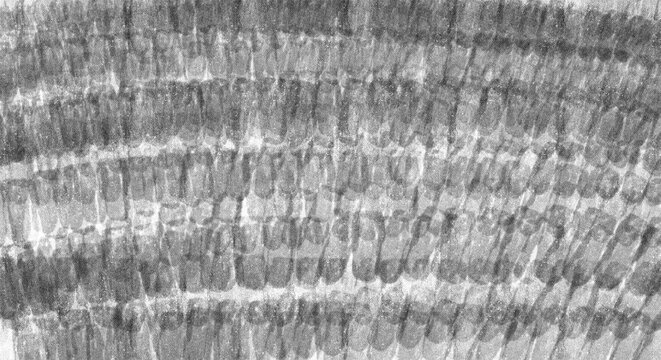 Repeating black and white pencil drawn scale pattern. Overlapping shaded arches creating a hand sketched scallop texture overlay. Download this isolated transparent png element.