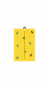 Flat Vector Illustration of a Yellow Sticky Trap for Garden Insects - Minimalist 2D Digital Art on a White Background