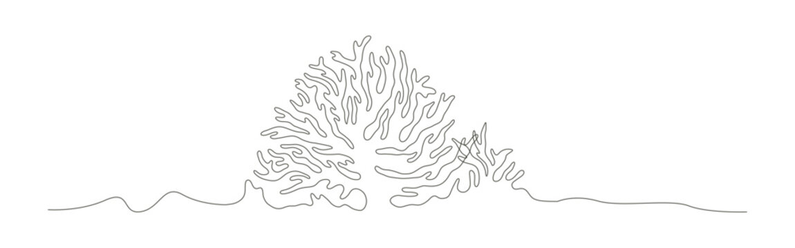 Sea coral reef minimalist continues line drawing depicting an organic abstract marine growth.