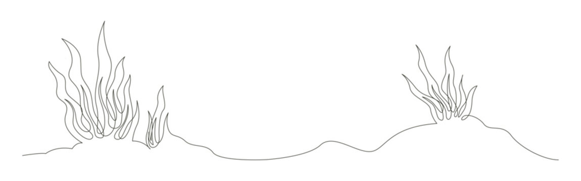Background sea plant illustrations of coral reef continuous lines.