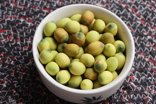Fresh raw green lotus seeds, with edible kernels, harvested from an aquatic wetland