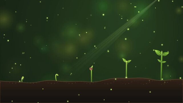 Small green plant growing from soil through different life stages with glowing particles in a dark magical forest environment showing the concept of nature development and new life beginning