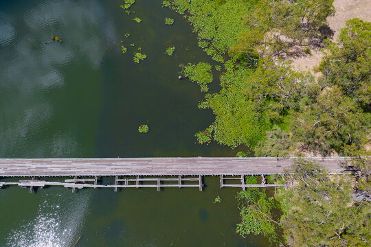 Aerial view of green lily pads along a rivers edges below an abandoned wooden bridge
