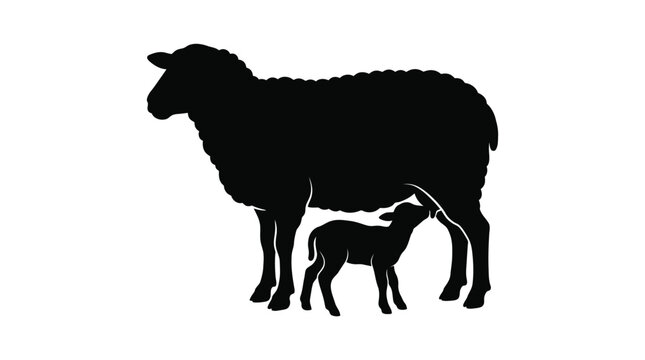 Black sheep silhouette vector illustration showing a mother ewe nursing her small lamb standing together quietly