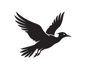 Fototapeta premium Silhouette of a Bird in Flight.