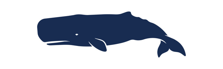 Silhouette of a majestic sperm whale swimming gracefully in the ocean. © First
