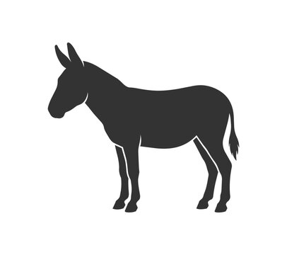 Silhouette of a Donkey Standing Still Side View.