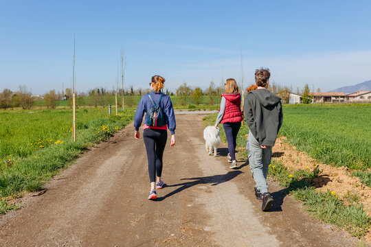 Back view of three people walking a dog on a rural path