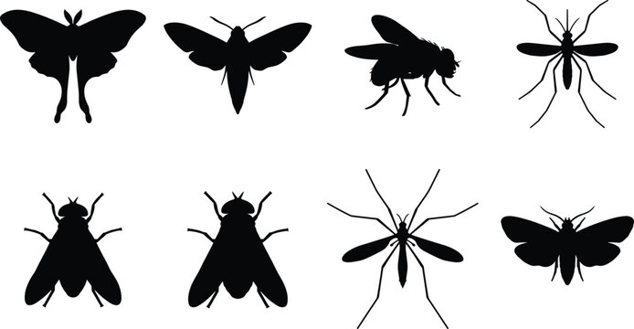 Set of black and white flying insect silhouettes, moths, flies, mosquitoes, and vector design