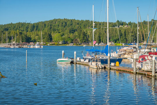 Sailboats moored in a harbor in Gig Harbor WA.
