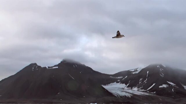 Witness the raw power of the Arctic Ocean. Massive mountains rise from icy waters, their summits crowned with swirling clouds and vast glaciers.