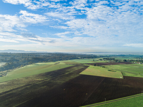 Farming landscape of green paddocks with mist on horizon on sunlit morning